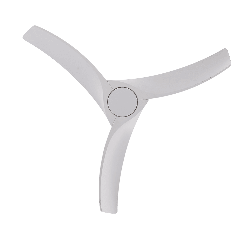 엘리